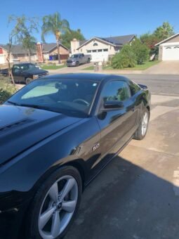 
										2014 Ford Mustang 5.0 V8 full									