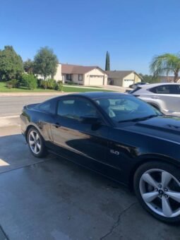 2014 Ford Mustang 5.0 V8
