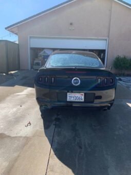 2014 Ford Mustang 5.0 V8