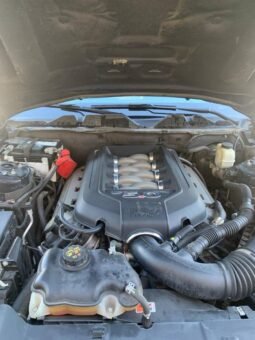 
										2014 Ford Mustang 5.0 V8 full									