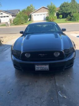 
										2014 Ford Mustang 5.0 V8 full									